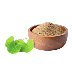 Gotu Kola Powder | Organic Gotu Kola Extract, Centella asiatica, Gotu Kola Powder Extract At Bulk Price,