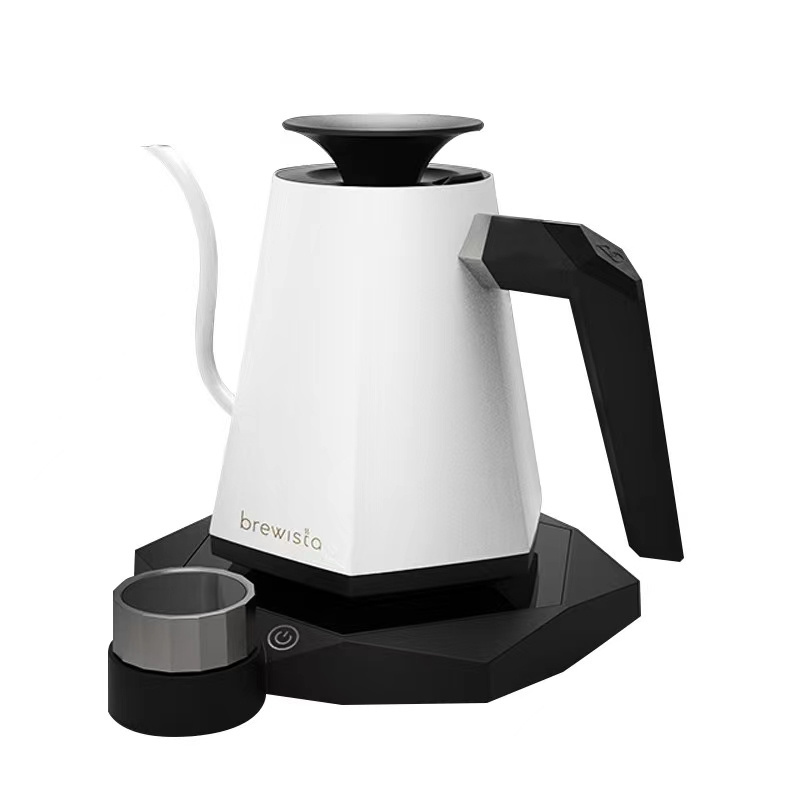 Ranbem 600ML 1000W Stainless Steel Tea Pot Pour Over Coffee Temperature Control Electric Gooseneck Kettle