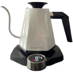 electric brewing stainless steel 1.7L coffee kettle