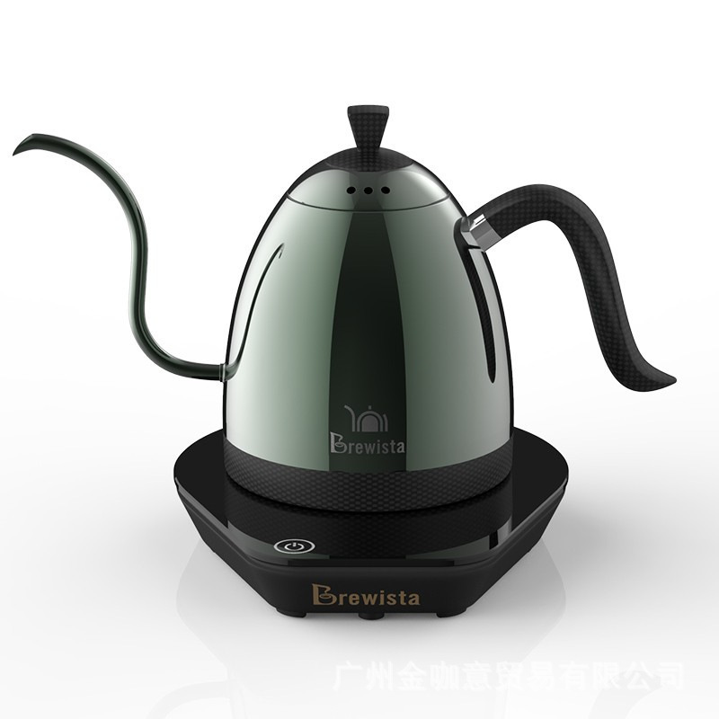 Ranbem 600ML 1000W Stainless Steel Tea Pot Pour Over Coffee Temperature Control Electric Gooseneck Kettle