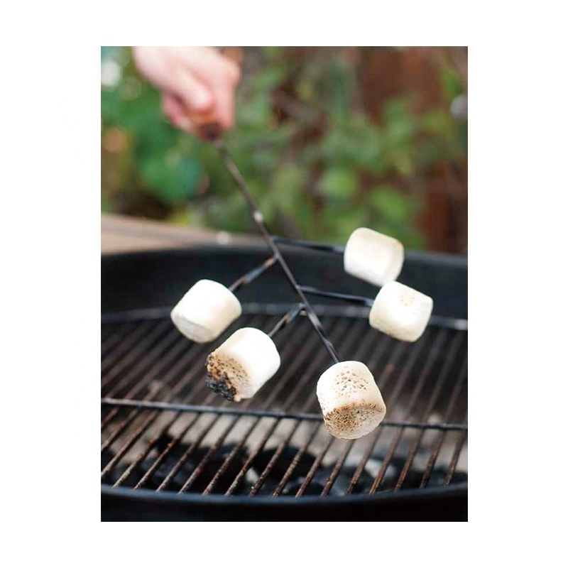 NEW products ideas #430 Stainless Steel 4pcs Branch Grill Skewers