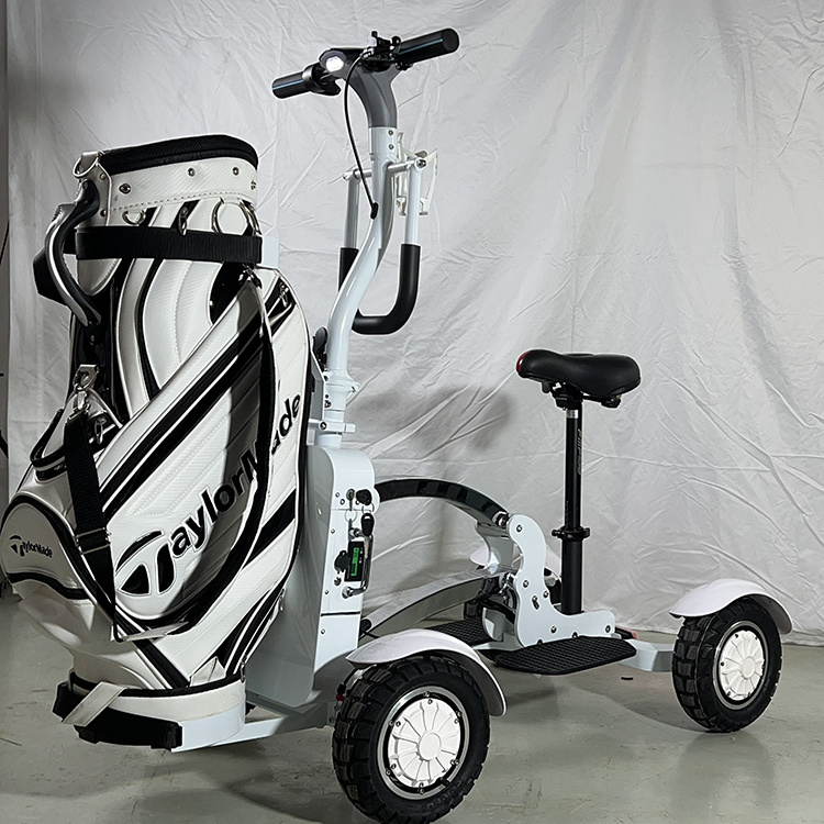 New design 2400W 48V 20Ah removable battery 10 inch wide tire 4 wheels scooter electric golf cart