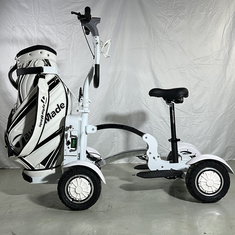 New design 2400W 48V 20Ah removable battery 10 inch wide tire 4 wheels scooter electric golf cart