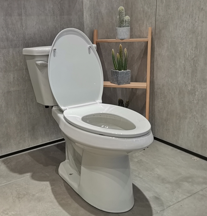 Bolina hot selling American Standard Sanitary Ware Bathroom toilet bowl dual flush Floor Mounted Two Piece Toilet