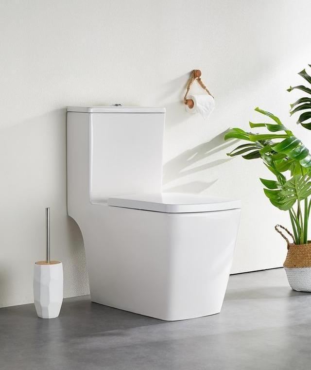 One Piece S-Trap Bathroom Wc water closet square economic  ceramic bidet  toilets australian