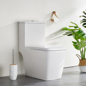 One Piece S-Trap Bathroom Wc water closet square economic  ceramic bidet  toilets australian