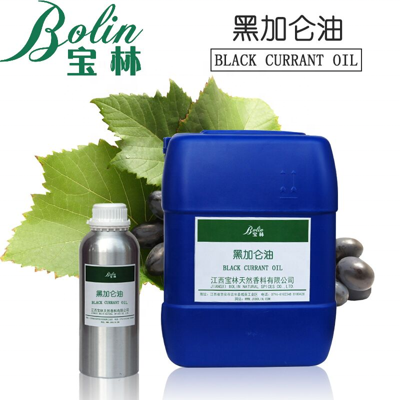 Supply Natural Organic cold pressed Black Currant Seed Oil