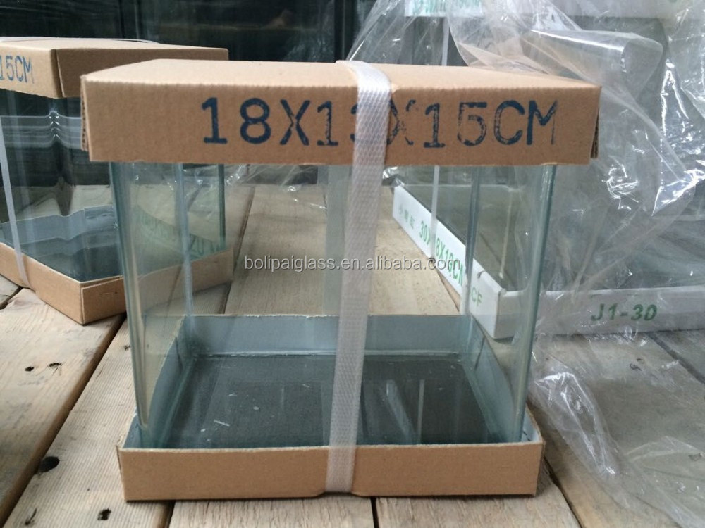 Mini Curved Glass Aquarium with round corner