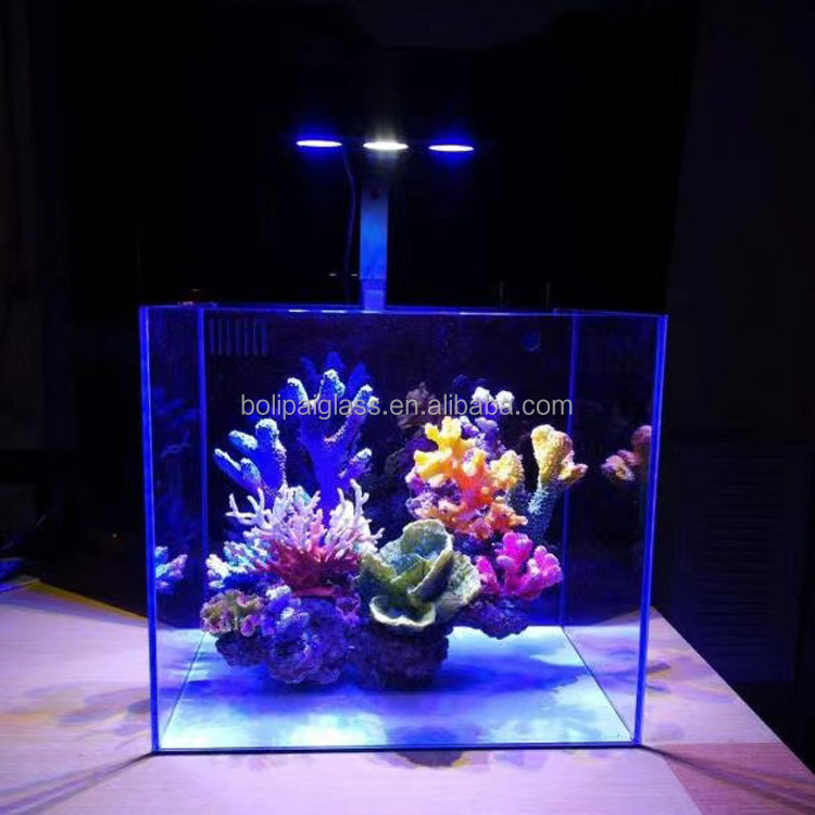 Mini Curved Glass Aquarium with round corner