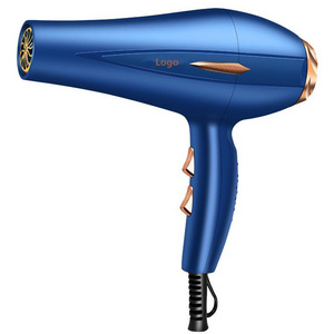 Portable Electric Cold hot, Air Hair Dryer Foldable Handle Low Noise Hair Salon Equipment Travel Hair Dryer/