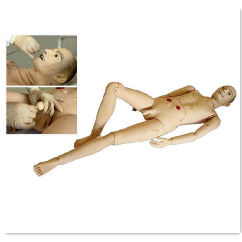 ADA-H220A /B human simulation medical science full-featured aged male and female nursing mannequin