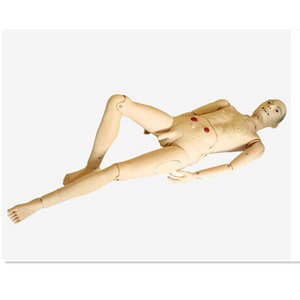 ADA-H220A /B human simulation medical science full-featured aged male and female nursing mannequin