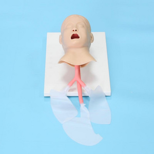 ADA-J4A human simulation child tracheal intubation medical airway manikins doll