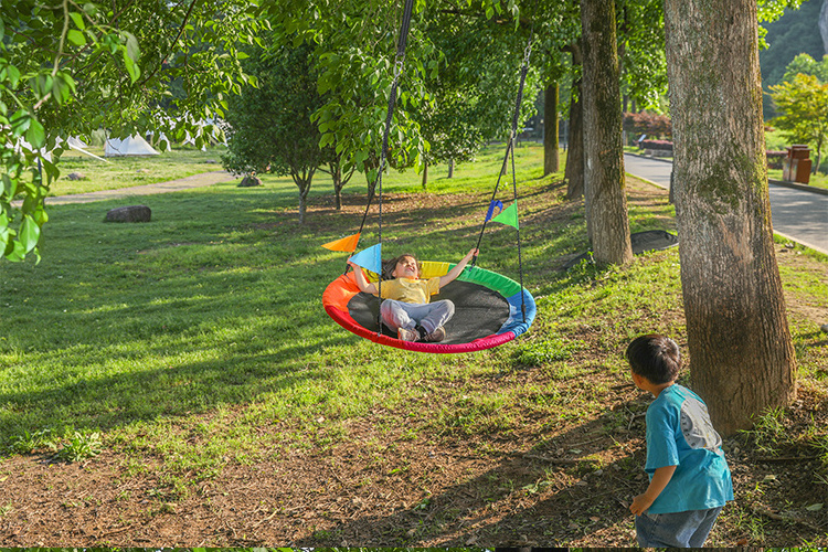 Zoshine Round Outdoor Tree Swing Adjustable Rope Disc Swing with Locknut and Lock Ropes