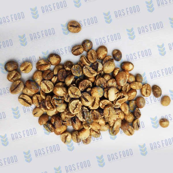 Bulk Sumatera Coffee Beans Good Quality Robusta Green Coffee Beans from Indonesia Products Exporter