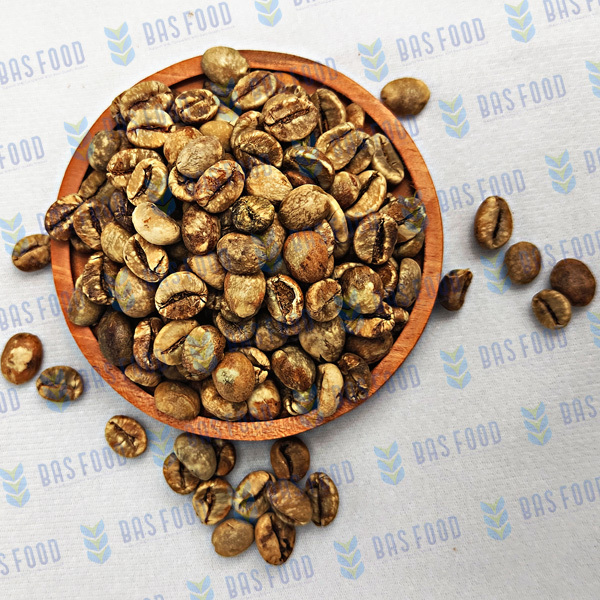 Bulk Sumatera Coffee Beans Good Quality Robusta Green Coffee Beans from Indonesia Products Exporter