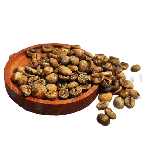 Bulk Sumatera Coffee Beans Good Quality Robusta Green Coffee Beans from Indonesia Products Exporter