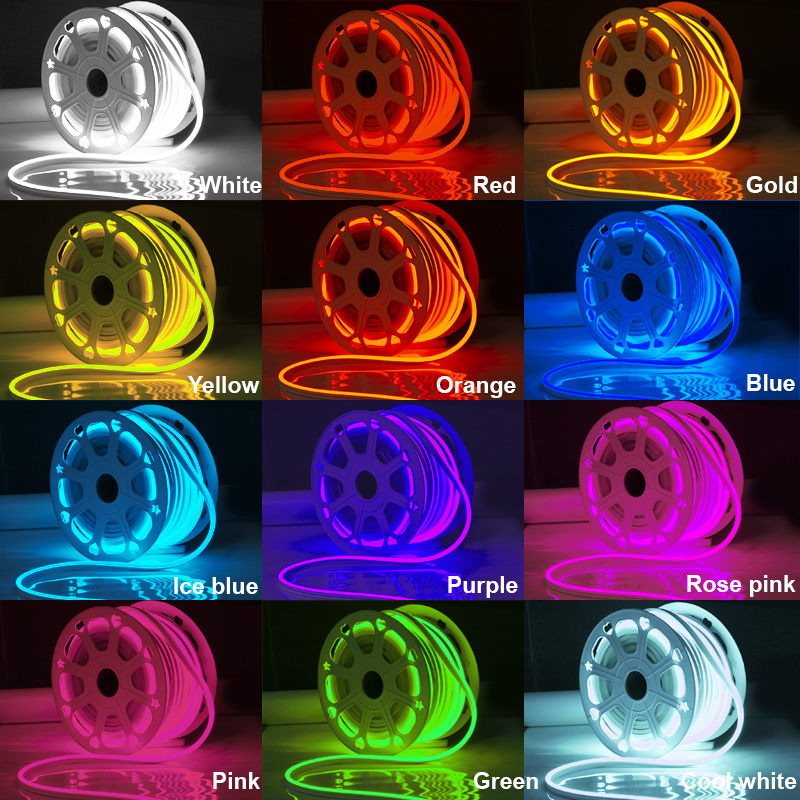 Beautiful LED Neon Rope light IP65 Flex Neon light 220V 110V 24V 12V