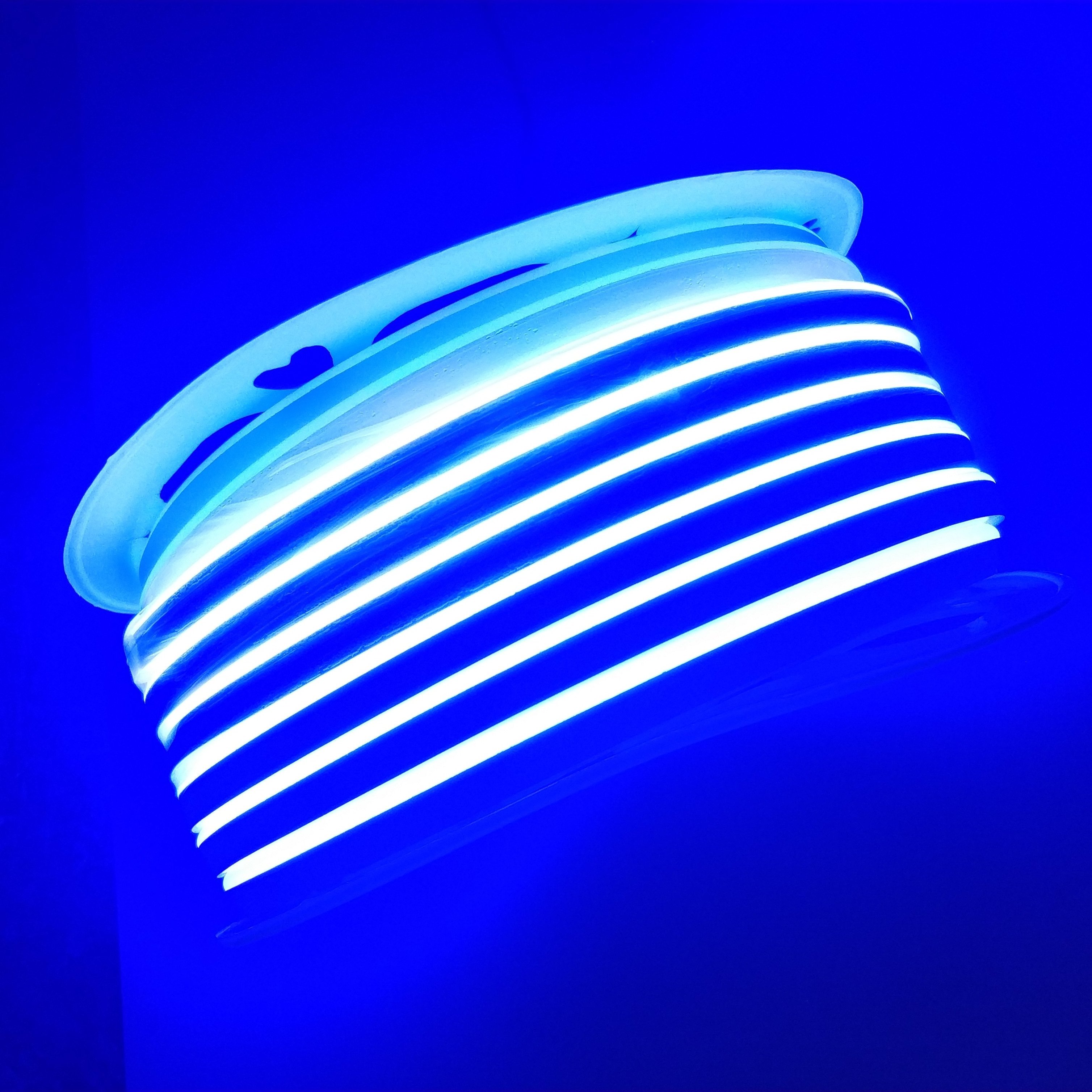 Beautiful LED Neon Rope light IP65 Flex Neon light 220V 110V 24V 12V