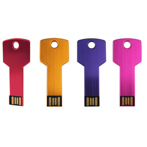 USB key with custom logo Wholesale key shape USB flash drive for advertising