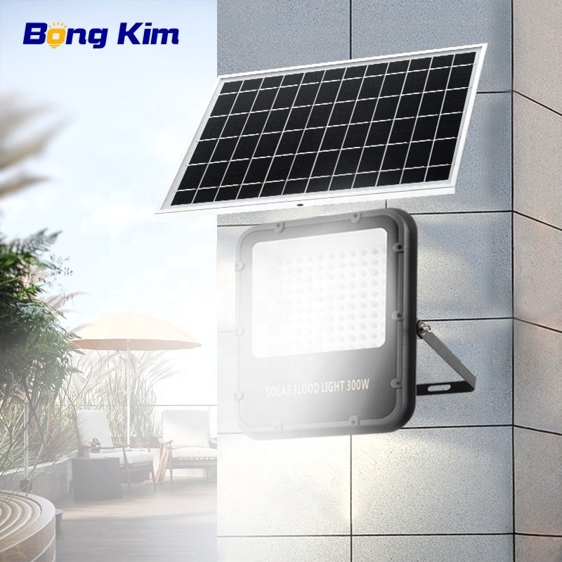 BONGKIM new house villas garden motion sensor LED solar led sensor light outdoor spotlight