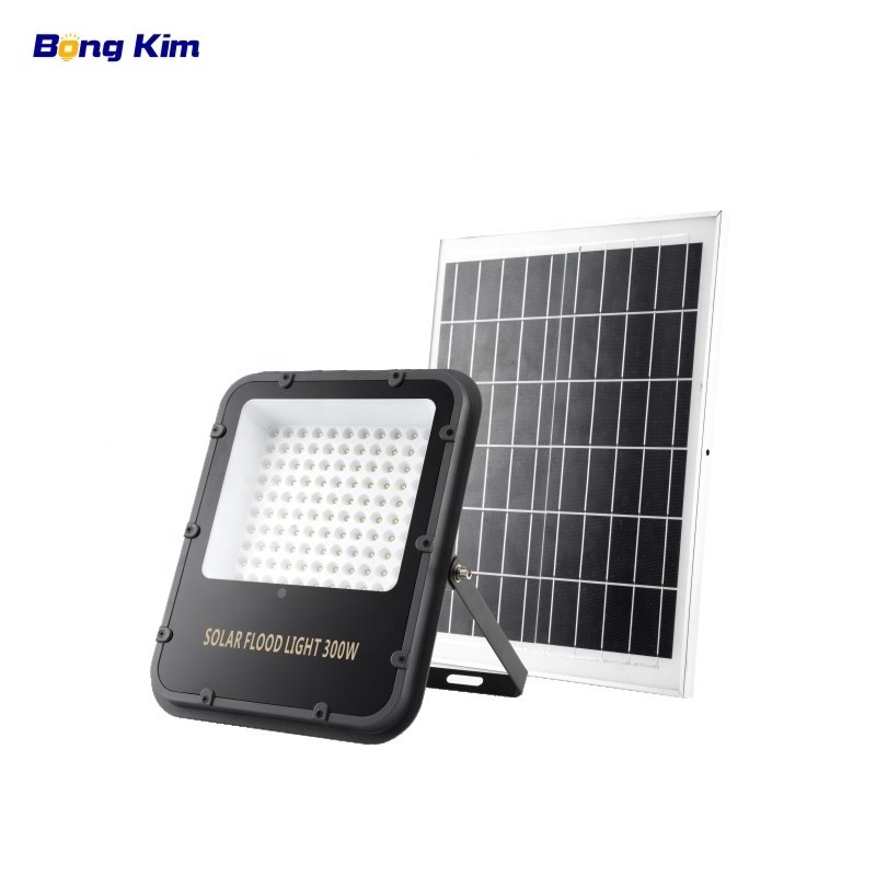 BONGKIM new house villas garden motion sensor LED solar led sensor light outdoor spotlight