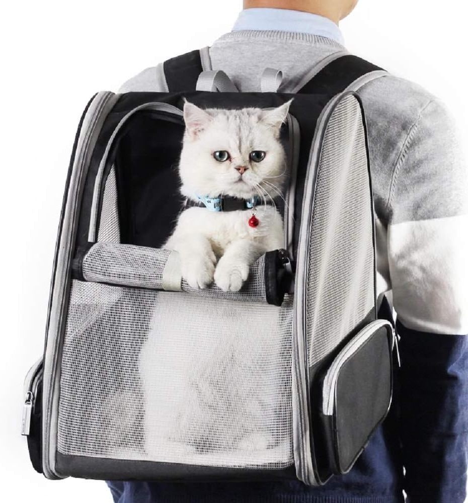 Breathable lightweight pet backpack suitable for large or small cats and dogs, safe cushioning support  outdoor travel