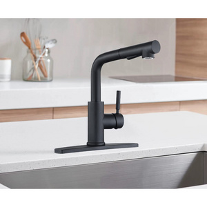 Luxury Black Stainless Steel Kitchen Mixer Faucet