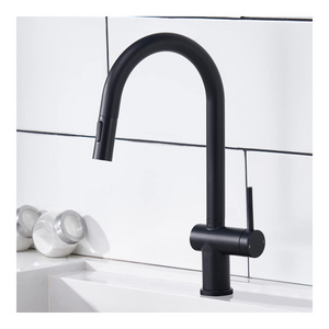 Modern Black Stainless Steel Down Sprayer Kitchen Sink Faucet