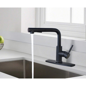 Modern Black Stainless Steel Kitchen Faucet Design