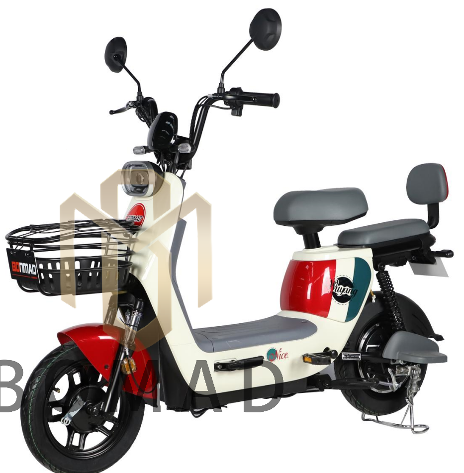 New 2023, Surrounding City Electric Bicycle, Iron Body, 350W Motor Lead Acid Battery.