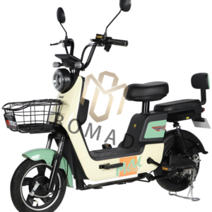 2023 best-selling electric bicycles, carbon steel, 350W motor, lead-acid/lithium battery, Bangzao Bike BM956-1005.