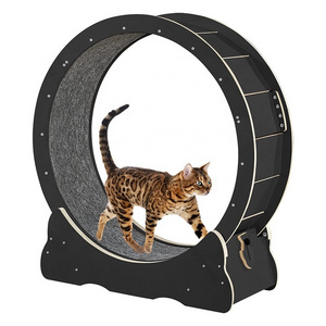 BunnyHi PBJ070 Luxury High Quality Cat Toys Circle Track Cat Exercise Wheel For Indoor Cats Running Walking And Training