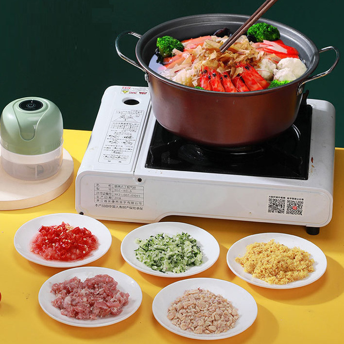 250ml Multifunctional USB Mini Electric Meat Food Chopper Stainless Steel and Plastic Popular Household Meat Grinder