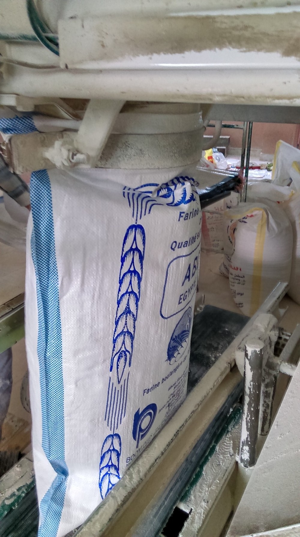 Bread Wheat Flour 50 kg  ABC blue Brand Premium Flour Egyptian Product  ISO 9001 Halal Customizable Gluten