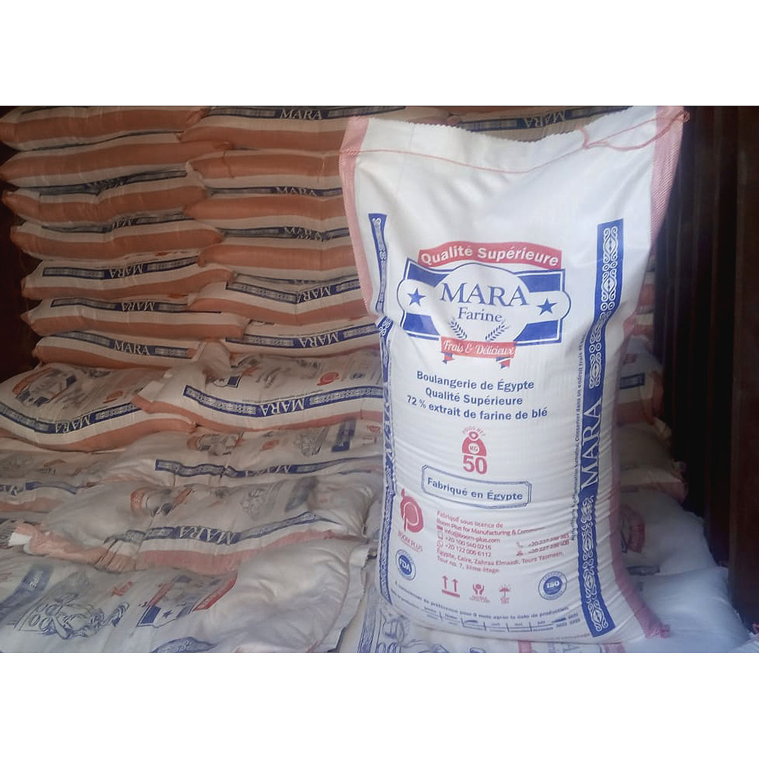 Wheat Flour 50 kg t55 Mara Farine harina de trigo made in Egypt Atta Chakki ISO 9001 certified