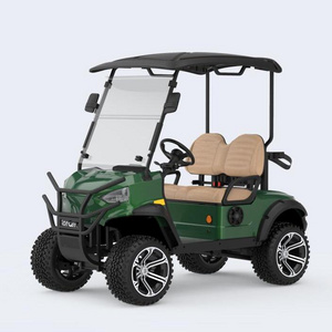 Mini Electric Car 2 seaters electric golf cart utility buggy food golf carts