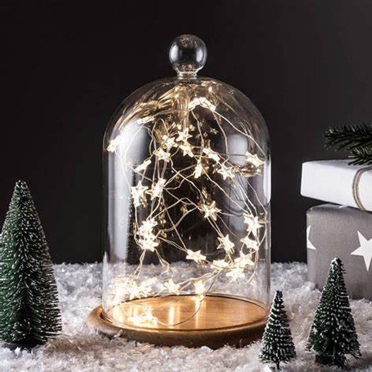 Borosilicate Transparent Clear Display Glass Bell Jar Dome With Wood Base For Home Decor