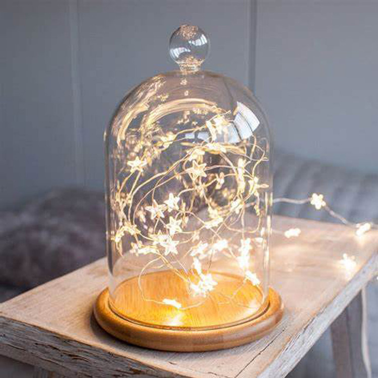 Borosilicate Transparent Clear Display Glass Bell Jar Dome With Wood Base For Home Decor