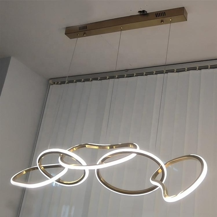 Contemporary Ceiling Ring Chandelier Light LED Circle Pendant Lamp Fancy Lighting Design