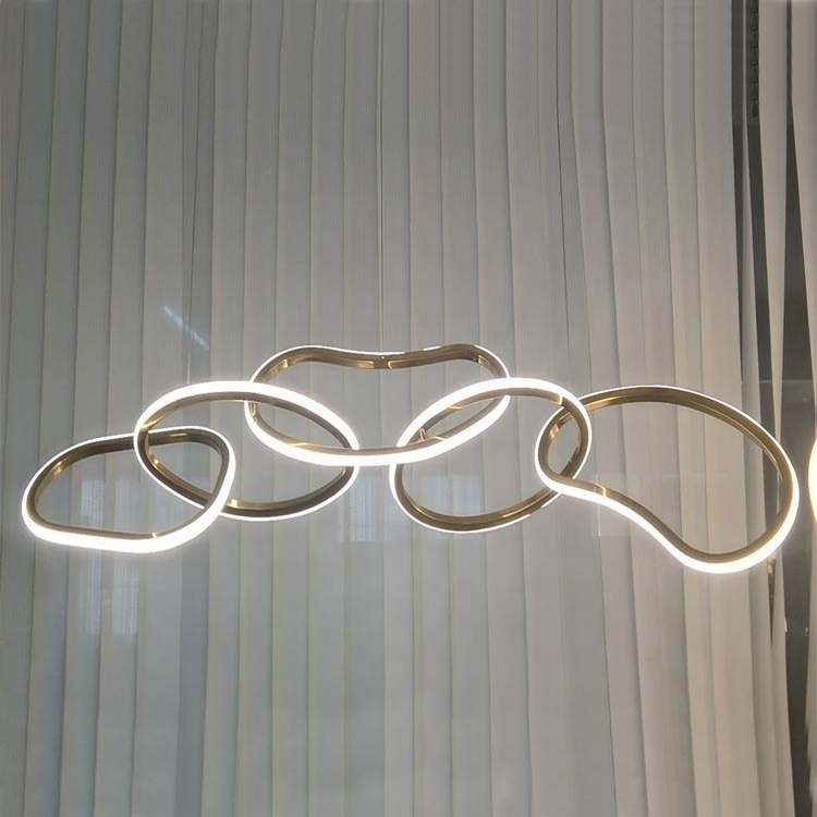 Contemporary Ceiling Ring Chandelier Light LED Circle Pendant Lamp Fancy Lighting Design