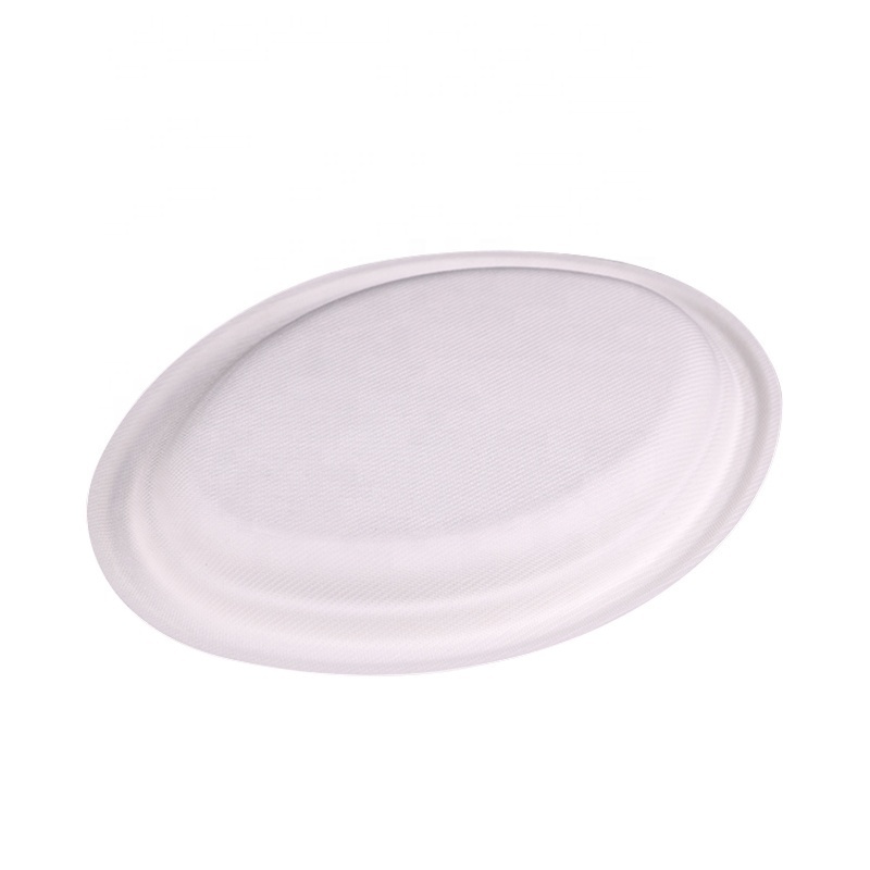 Promotional Widely Used Large Capacity  piring platos desechables sushi plates