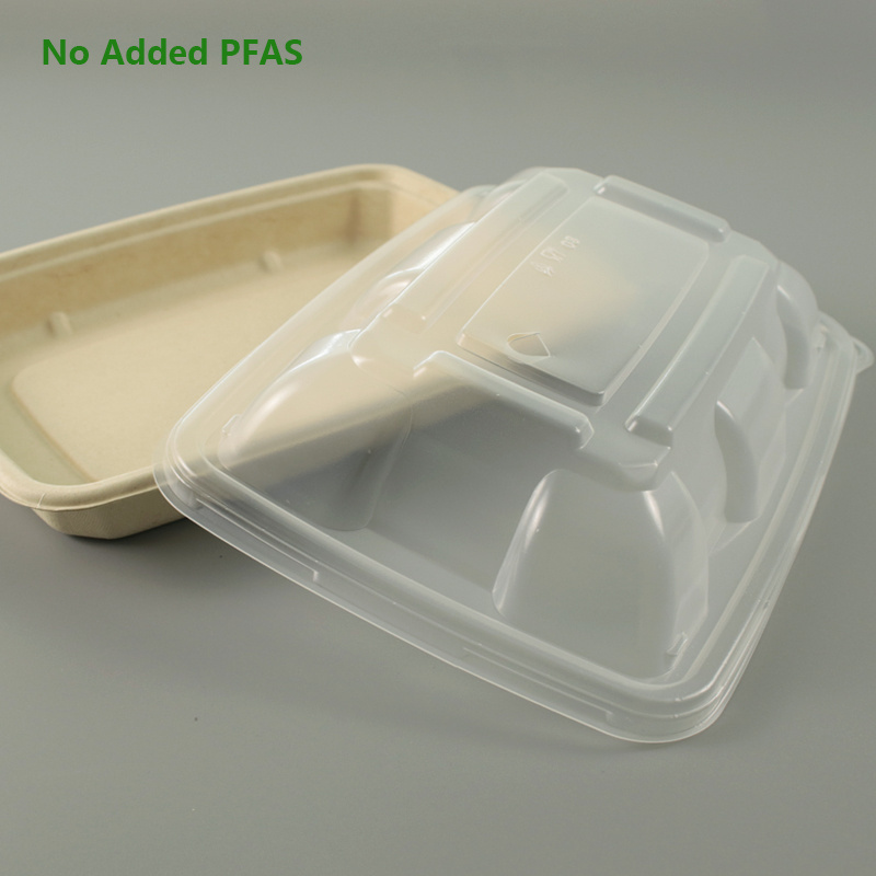 No Added PFAS Solenis Customized Sugarcane Disposable Packaging  Food Container Biodegradable Takeaway Pulp Bagasse Salad Bowl