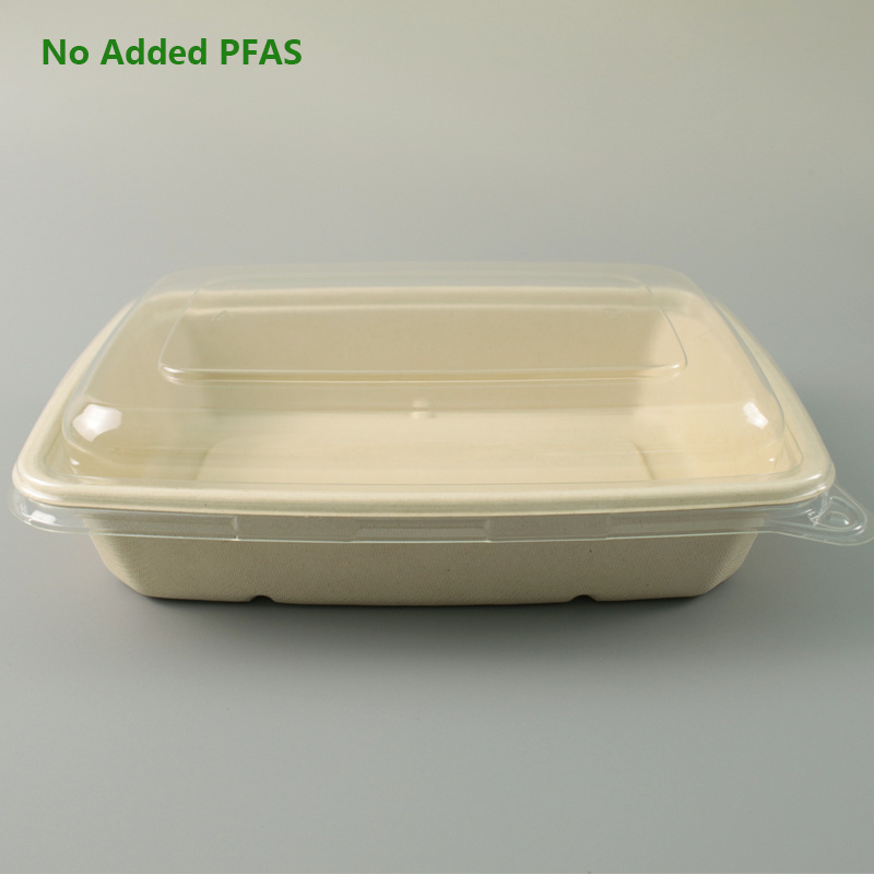 No Added PFAS Solenis Customized Sugarcane Disposable Packaging  Food Container Biodegradable Takeaway Pulp Bagasse Salad Bowl