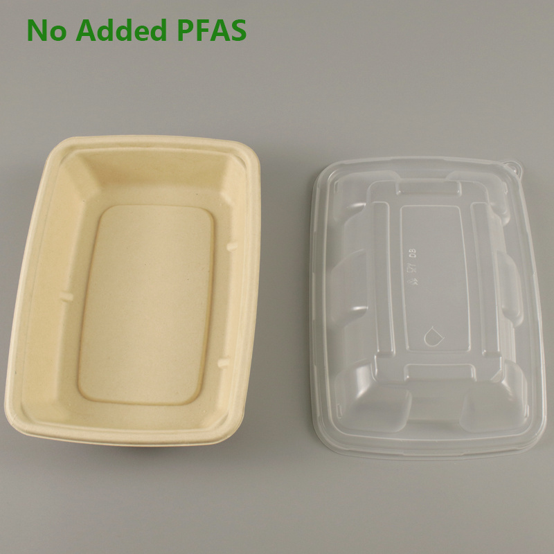 No Added PFAS Solenis Customized Sugarcane Disposable Packaging  Food Container Biodegradable Takeaway Pulp Bagasse Salad Bowl