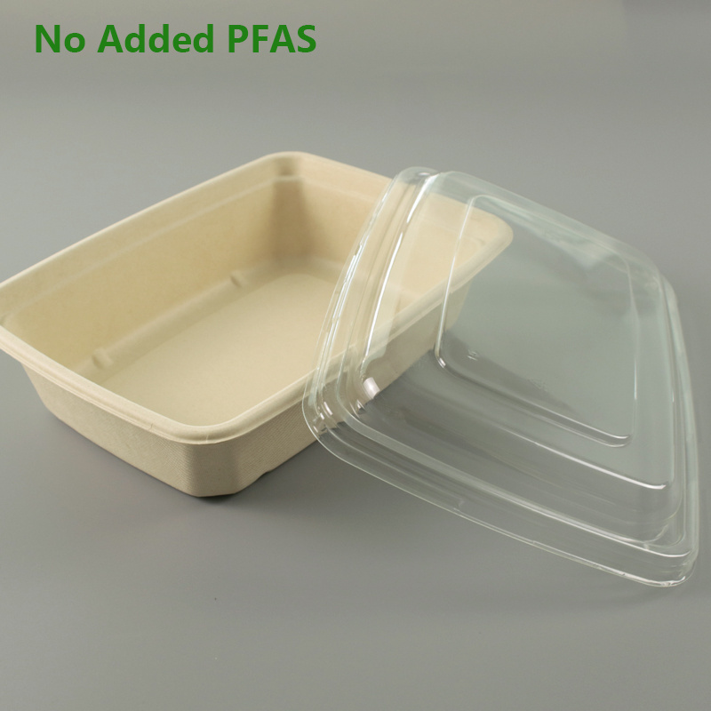 No Added PFAS Solenis Customized Sugarcane Disposable Packaging  Food Container Biodegradable Takeaway Pulp Bagasse Salad Bowl