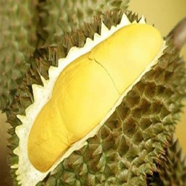 Premium Grade Thai Durian Powder for Foods and Beverages from Thailand Packing 15Kg per Carton