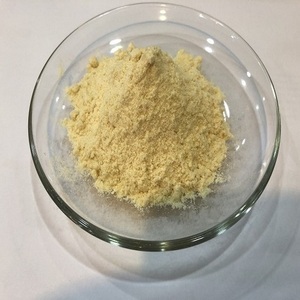 Durian Fruit Powder