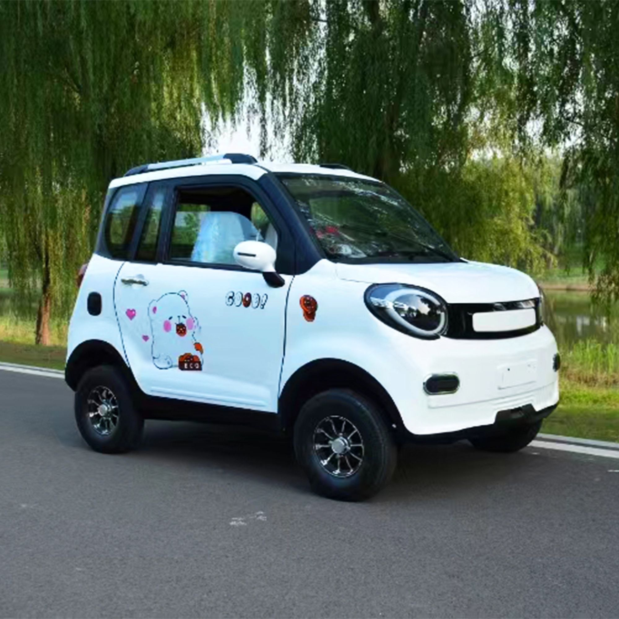 electric car for elderly electric cars made in china eec electric car