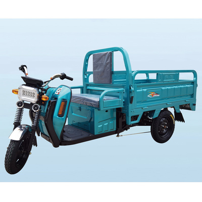 Cargo tricycle electric trike three wheeler tuk tuk 3 wheel bike with 1000W motor and cargo bed